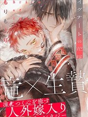 《暖房番茄的第七个夏天》封面